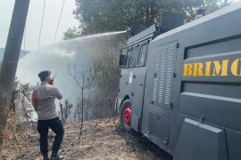 Polda Kepri respons cepat kebakaran lahan di Rempang