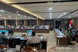 Raperda APBD-P 2026, DKI ajukan Rp250 juta untuk kajian ikan sapu-sapu