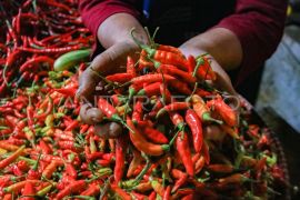 Harga cabai rawit Rp92.350/kg, telur ayam Rp29.200/kg