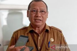 Pemkab gerakkan 4.576 kader posyandu cegah kekerasan seksual