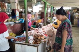 Distan Mataram imbau warga tak panik hadapi fluktuasi harga daging ayam