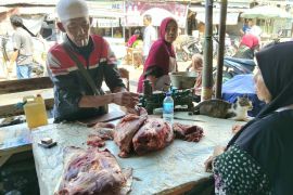 Pemotongan sapi di RPH Kota Mataram naik selama Maulid Nabi