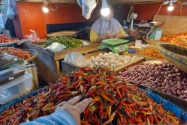 Pemprov Sulut pasok cabai rawit 3.000 kg dari Makassar
