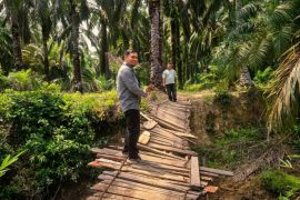 Harus Lewati Jalan Berlumpur dan Minim Sinyal di Rantau Prapat, Kepala Unit BRI Menemani UMKM untuk Naik Kelas