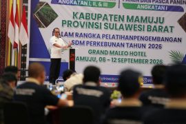 Pemprov Sulbar tingkatkan kualitas petani sawit
