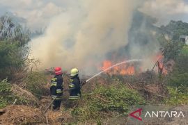 Api lahap lahan kosong seluas 1,6 hektare di Jempong Baru Mataram