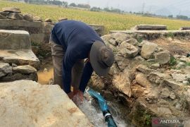 Petani di Cirebon merasa PHTC Pompanisasi bermanfaat cegah gagal panen
