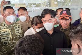 Wapres pastikan relawan di Kalsel dapat APD untuk tangani karhutla
