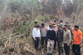 VP Gibran inspects Kalimantan fires, ensures effective handling