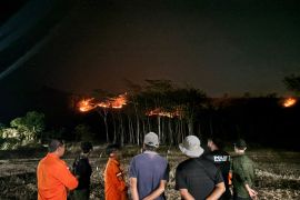 Fire burns 72 hectares in Meru Betiri National Park in East Java