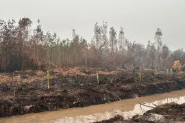 Singkawang normalisasi saluran  untuk perkuat penanganan karhutla