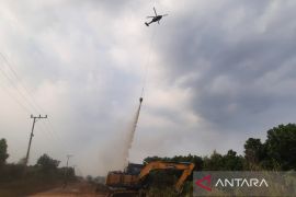 Satgas Udara tangani 667 hektare lahan terbakar di Kalsel