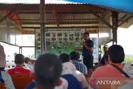 Mengenal lebih dekat rahasia di balik benih sawit unggul melalui kunjungan ke Dami Mas