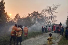Kodim 1702 tangani kebakaran karhutla di Siepkosi Kabupaten Jayawijaya