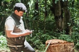 Kemenhut telusuri rantai peredaran kayu ilegal di Buru Selatan Maluku