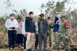 Indonesia intensifies forest fire response in six priority provinces