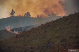 TNBTS tutup total seluruh aktivitas wisata Bromo guna percepat pemadaman