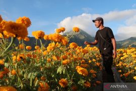 NTB perlu perkuat mitigasi hadapi kemarau panjang akibat El Nino