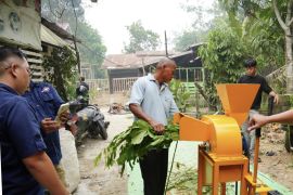 Tim-PKM Poltesa manfaatkan limbah pertanian ubah jadi pakan ternak