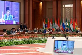 Presiden Prabowo: Kekuatan kolektif BRICS harus beri manfaat nyata