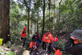 Tim SAR evakuasi tujuh pendaki Gunung Nokilalaki Sigi yang kehabisan logistik