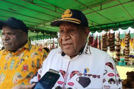 Pemprov dorong pelaku UMKM Papua Pegunungan terus berinovasi
