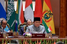 Indonesia ready to expand support for global food needs: Prabowo