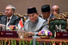 BRICS holds key resources for a green century, Prabowo says