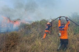 Karhutla Poso hanguskan 50 hektare lahan gambut dan kebun masyarakat