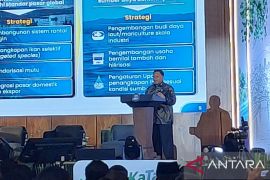 Indonesia links fishing villages to wider fish distribution networks