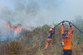 BPBD tangani tiga titik api baru di wilayah Kecamatan Pamona Tenggara