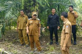 Pasaman Barat pastikan kesiapan lahan pembangunan Sekolah Rakyat