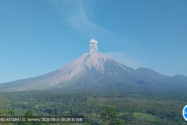 Gunung Semeru erupsi 3 kali dengan tinggi letusan hingga 1.000 meter