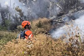 Perhutani: Area terdampak karhutla Butak dan Kawinajang sekitar 700 ha