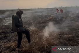 BKSDA Kaltim: Ketangguhan perempuan kendalikan hutan dari karhutla