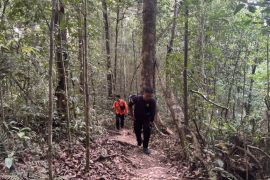 Chinese hiker injured on Indonesia's Mount Rinjani, SAR team deployed