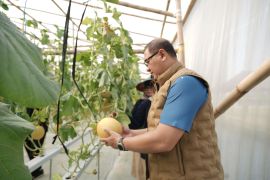 Kadindik Jatim puji panen melon SMKN 1 Tulungagung