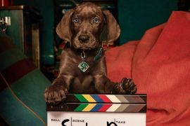 Serial live-action "Scooby-Doo: Origins" musim 1 selesai diproduksi