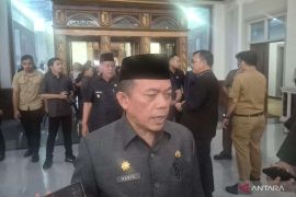 Gubernur Jambi: 80 persen kasus karhutla terindikasi disengaja