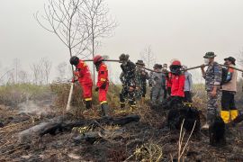 BPBD kalbar sebut penanganan karhutla memasuki tahap pendinginan