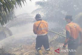 BPBD: Karhutla di Desa Teluk Limau Sumsel masih keluarkan asap tebal