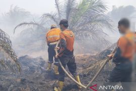 Tim satgas padamkan karhulta di perkebunan sawit Gunung Megang Muara Enim