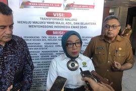 Indonesia, New Zealand expand renewable energy program in Maluku