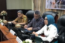 Pemprov Maluku-Selandia Baru perkuat kemitraan program listrik desa