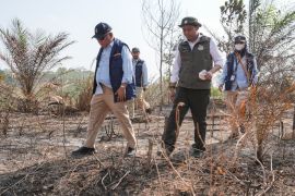 Menhut bekukan izin tiga perusahaan terkait karhutla di Kaltim