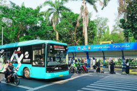 Halte Non-BRT Universitas Pancasila kini lebih teratur dan rapi