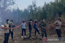 Tim gabungan padamkan api bakar 16 hektare hutan kota di Koba