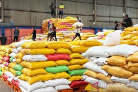FAO: Blokade Hormuz sebabkan produksi pangan global turun