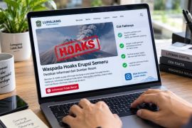 Pemkab Lumajang ajak warga bijak bermedsos soal aktivitas Semeru