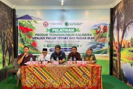 Petani Aur Malintang Belajar Olah Kaliandra Jadi Pakan, Didukung Mesin Pencacah dan Pembuat Pelet